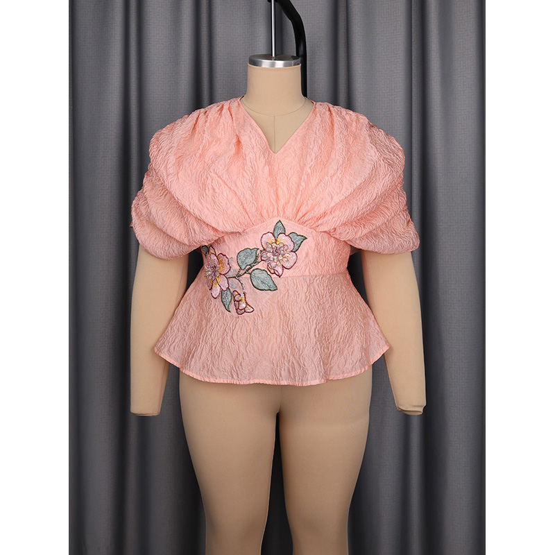 Slergiri 플러스 사이즈 꽃 자수 v 넥 페플럼  - Embroidery Blouse 리뷰 및 가격