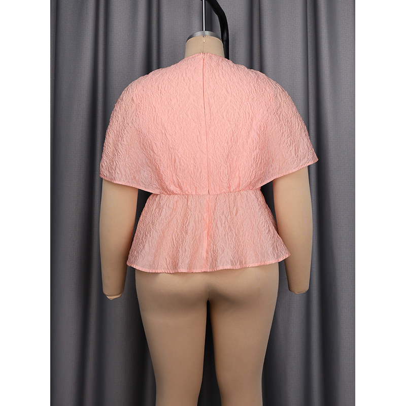 Slergiri 플러스 사이즈 꽃 자수 v 넥 페플럼  - Embroidery Blouse 리뷰 및 가격