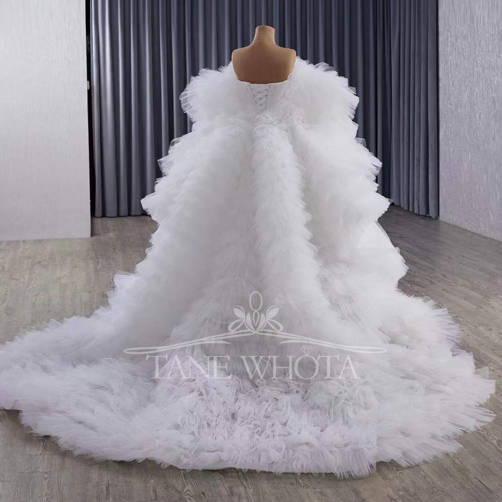우아한 인어 웨딩 이너 가운 여성용 특별 행사 드레스를 - Embroidery Organza 리뷰 및 가격